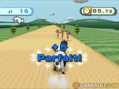 Trunks monte une vache