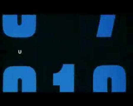 Die Wildgänse kommen